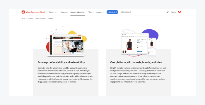 Plataforma tienda online Magento