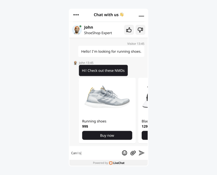 live chat herramienta atencion al cliente en ecommerce live chat cs tool sample